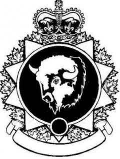 Bison Motorcycle Safety Consutants